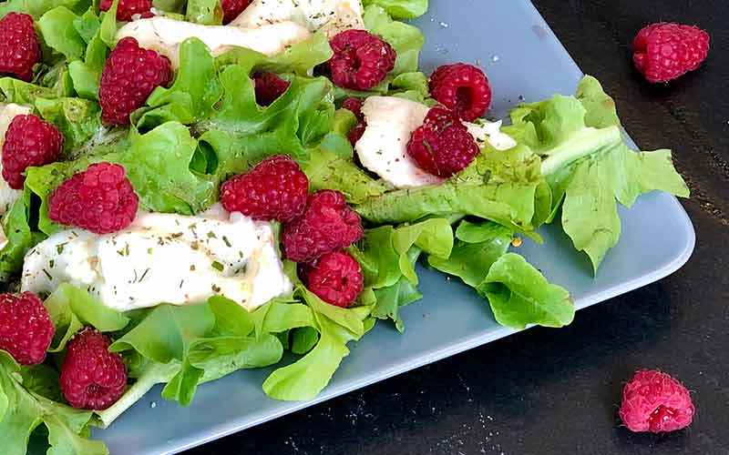 Rezept - Lauwarmer Ziegenkäse auf Himbeeren und Blattsalat. schmale Ansicht
