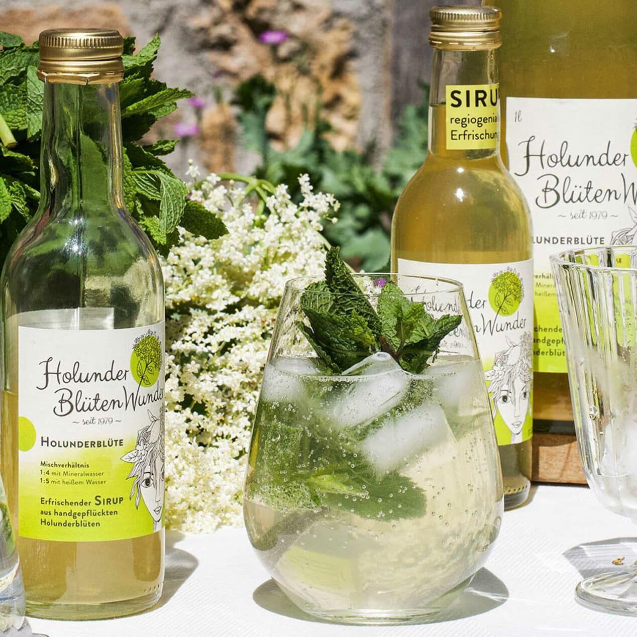 Holunder Eistee mit Holundersirup von Holunderblütenwunder